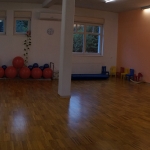 Trzin - Hisa plesa in materinstva - Dvorana04