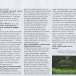 05. Revija Mama - stevilka 177 - januar - drugic