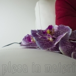 Trzin - Hisa plesa in materinstva